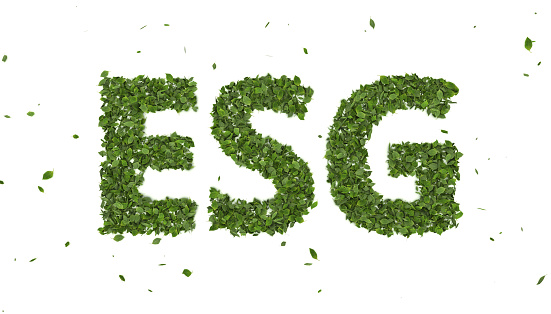 ESG Investing: A Short Discussion